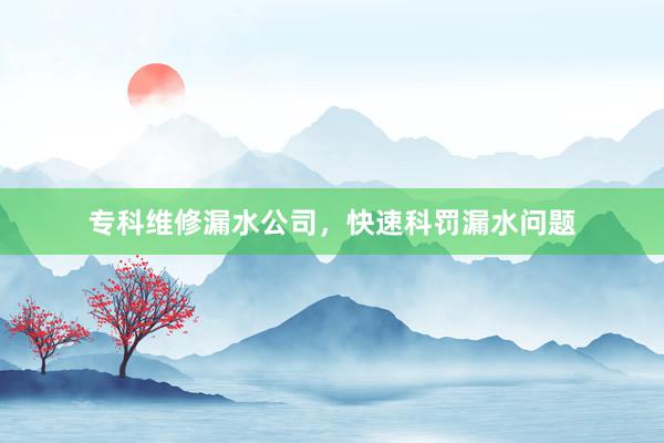 专科维修漏水公司，快速科罚漏水问题