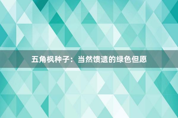 五角枫种子：当然馈遗的绿色但愿
