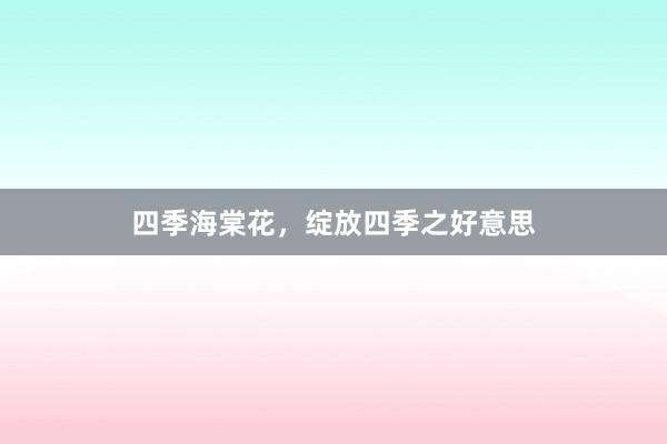 四季海棠花，绽放四季之好意思