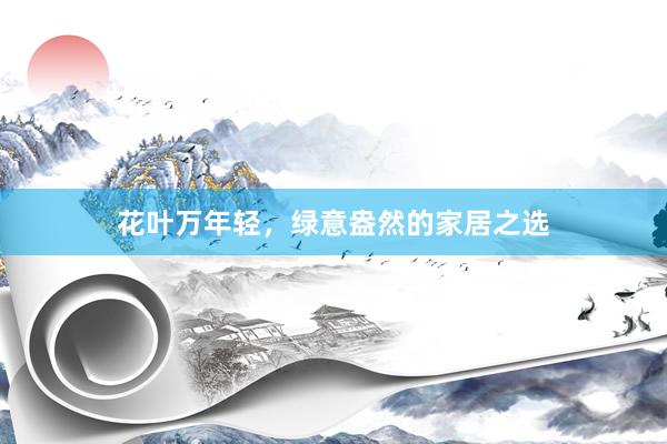 花叶万年轻，绿意盎然的家居之选